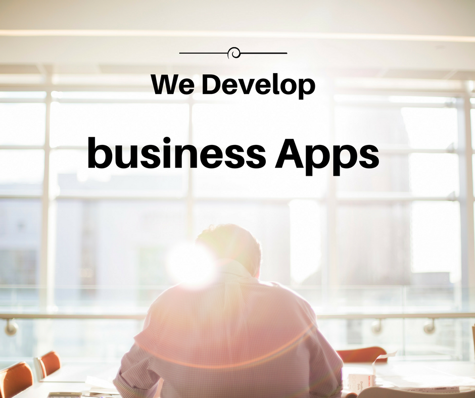 web development company , building business app