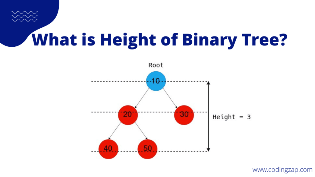 Height of Binary Tree